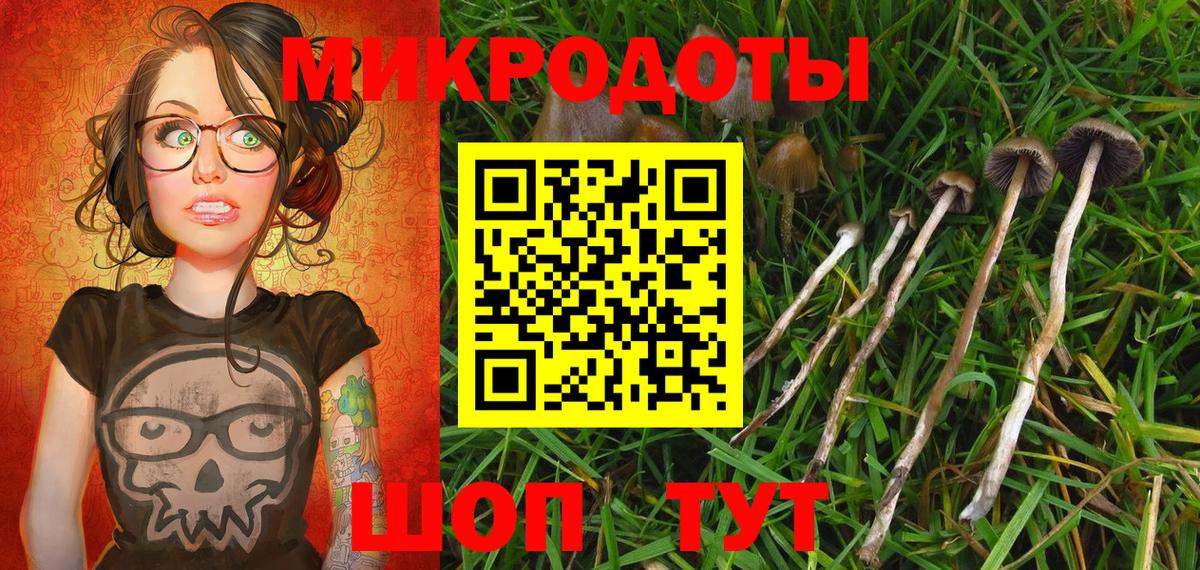Галлюциногенные грибы Psilocybine cubensis  Вход с VPN  Аксай  Псилоцибиновые грибы MAGIC MUSHROOMS 